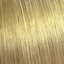 10/0 najsvetlejšia prírodná blond