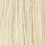 12/1 Special Blonde popolavá