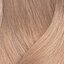9GV veľmi svetlá zlato fialová blond