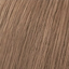8/31 svetlá zlato popolavá blond