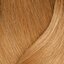 509G veľmi svetlá zlatá blond extra krytie šedín