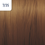 7/35 zlato mahagónová blond