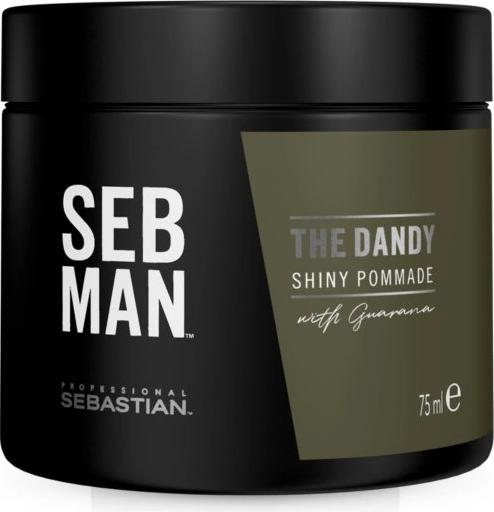 Sebastian Professional Seb Man The Dandy pomáda na vlasy 75ml